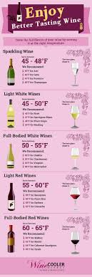 wine serving storage temperatures infographic