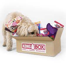Is there barkbox for puppies? 12 Cute Doggy Gift Baskets And Birthday Boxes For Special Pups Hey Djangles