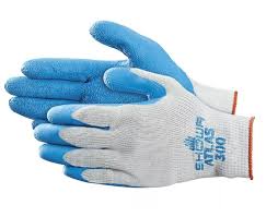 Image result for Atlas 300