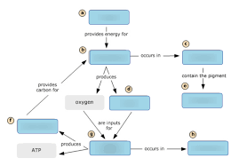 Atp is important as general energy currency in cells, and it's also required in parts of the calvin cycle of the major accomplishment of photosynthesis is carbon fixation, the production of organic compounds. Biochem B Chapter 15 Diagram Quizlet