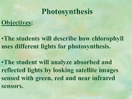 We earn a commission for products purchased through some links in this article. Trivia Why Are Plants Green In Spring Summer And Brown In Autumn Ppt Download