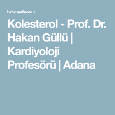 Kolesterol Prof Dr Hakan Gullu Kardiyoloji Profesoru Adana Saglik