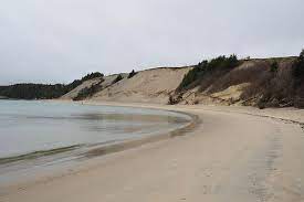 Newfoundland Does Have Beaches Free Candie Newfoundland Beach Newfoundland And Labrador