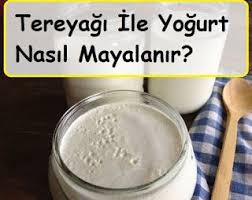 Tereyagi Ile Yogurt Nasil Mayalanir Food Gogurt Yogurt
