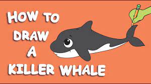 Article by illustrations by joni russell. How To Draw A Killer Whale Youtube