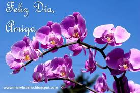 Dia de la madre (especial) hoy en nuestras imagenes tiernas les traemos un súper especial de la semana de la madre, acompañado con mucho amor y cariño de imágenes para el día de la madre, también traemos frases para el día de la madre, cosas para el día de la madre. Feliz Dia Querida Amiga Entre Poemas Cristianos Frases Vivencias Y Cumpleanos