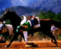 Old statues of military heroes, like the famous one of general sherman on new york's fifth avenue, are frequently equestrian. Horse Horseriding Stallion Background Best Free Download Photos