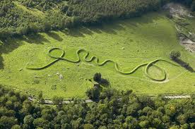 Maya lin has been profiled in time magazine, the new yorker, the new york times, the smithsonian, and art in america, among others. The Life And Art Of Maya Lin With Christian Conrad Lhuca