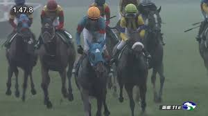 クイーンステークス 予想 データ コース ⇒ 「夏の女王決定戦」と言っても差し支えないほど、近年は力のある馬が集まっている。例えば2018年の勝ち馬ディアドラは、勢いそのままに年末は海外で活躍!当然、今年もここでの活躍のみならず「先が見据えられる馬」に期待して勝負したい! Hxrun8i5sujrem