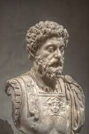 Something one uses to live a great life, rather than. Marcus Aurelius Wikipedia