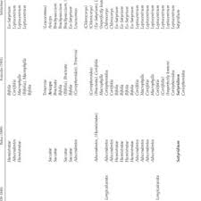 Image result for Satyrium coriophoroides