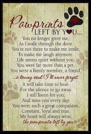 Pin By Rachelle Odell On Great Danes Sympathy Quotes Pet Loss Grief Pawprints Left By You