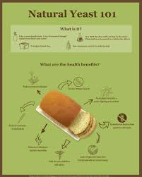 Natural Yeast Yeast Natural Yeast Recipe Old Fashioned Bread Recipe