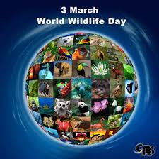 The theme of united nations world wildlife day 2020 is 'sustaining all life on earth'. Un General Assembly Proclaims 3 March As World Wildlife Day Cites