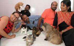 The scientists have stated that people experience a range of positive effects when they stroke these furry creatures. The Cattery Club Of Coimbatore Brings Together Cat Lovers In The City The Hindu