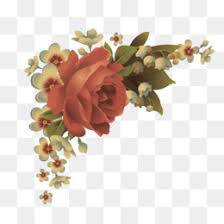 Maybe you would like to learn more about one of these? Red Flowers Png Red Flowers Cliupart Beach Red Flowers Cleanpng Kisspng