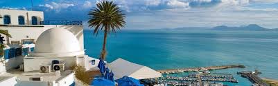 The 2019 legislative elections in tunisia, the third to be held since massive street protests ousted previous president and autocrat zine el abidine ben ali in 2010, produced a fragmented parliament. Diving In Tunisia The Best Dive Centers And Dive Sites