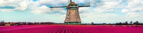 Cycling is also a nice option, around the city or along the roads to the parks. Luxushotel In Bergen Op Zoom 3 4 Und 5 Sterne Hotels Golden Tulip Hotels