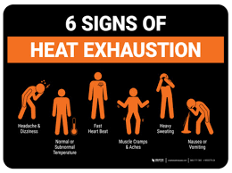 Image result for Heat Index