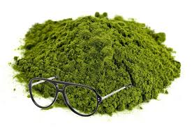 L'annuncio è stato dato in una riunione organizzata presso la sede del partito radicale a roma. Si Fa Prendere La Mano Dallo Sciopero Della Sete Marco Pannella Ritrovato Liofilizzato Lercio