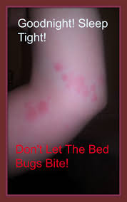 The sheet may look daunting but it's really important that. Bed Bug Removal Checklist Outline Dengarden