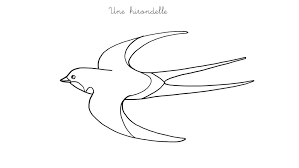 coloriage hirondelle les beaux dessins de nature a imprimer images orignal