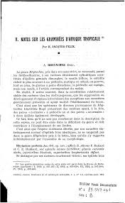 Image result for Rhytachne