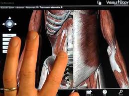 Whether you're an anatomy student, physician or just someone who likes to learn about the human body, there are several mobile apps out there that can help enhance both your learning experience. Best Ipad Apps For Physical Therapy Mike Reinold