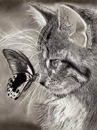 The tiger is considered to be the biggest animal under cat species. Eye To Eye Realistic Animal Drawings Pencil Drawings Of Animals Cute Animals