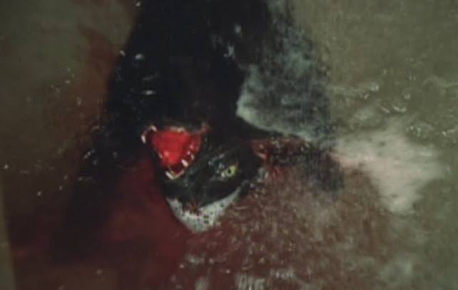 The Legend of Hell House (1973) - Cinema Cats