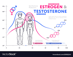 Comparison Of Male And Female Hormones In Chart
