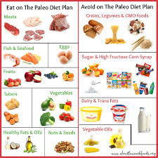 A Paleo Diet Plan That Can Save Your Life About Low Carb Foods