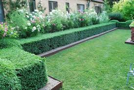 Haie Vegetale Jardin Idee Brise Vue Original Jardin Boxwood Landscaping Garden Landscape Design Garden Design