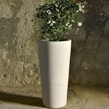 Pot Cycas Fin Poterie Ravel Poterie Ravel Terrasse Contemporaine Bougainvillier