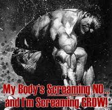 Pin On Bodybuilding Motivation Quotes