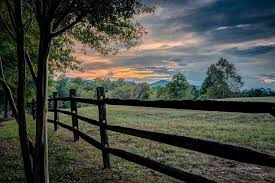 Overview things to do reviews. Welcome To Historic Downtown Tryon North Carolina Explore Tryon