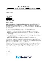 Ceo Executive Cover Letter Example Professional Cover Letter Samples Topresume