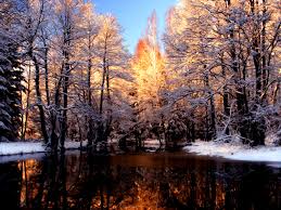 Lots of beautiful pictures of winter, winter scenes, christmas time photos and more. Winter Season Winterbilder