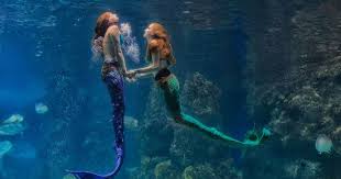 Image result for real mermaid