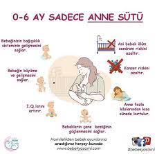 0 6 ay anne sutu hamilelik emzirme bebek oyun