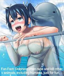 Ill never look at dolphins the same way I did before. : rhentaimemes