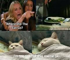 Meet Smudge The Confused Cat From The Woman Yelling At Cat Meme The Internet Has Fallen In Love With Alright, where did this woman yelling at a cat meme start?