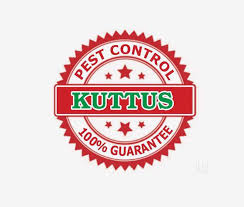 Uttar pradesh, with its diverse terrain and wealth of historical monuments, is one of india's most popular tourist destinations. U P Pest Control Paints Garh Rd Meerut Paint Dealers In Meerut Justdial