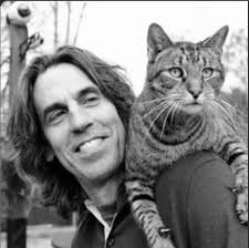 Shelter And Rescue Cats Of Michigan.