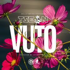 Download T Sean Vuto Mp3 Zmtrends