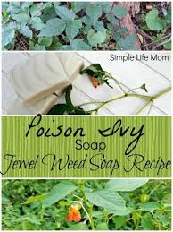 How To Make Poison Ivy Soap With Jewelweed Simple Life Mom Poison Ivy Soap Soap Recipes Soap