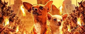 Beverly hills chihuahua is a film for everyone, it's from the reliable and brilliant disney team.i thoroughly recommend this as a light hearted and heart warming film. Beverly Hills Chihuahua Franchise Behind The Voice Actors