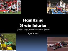 Knowing their anatomy, morphology, innervation, and function is important to provide a proper diagnosis, treatment as well as appropriate. Hamstring Strain Pp