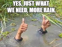 Flooding Thumbs Up Imgflip