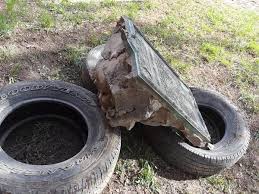 newsletter #55 :: June 2020